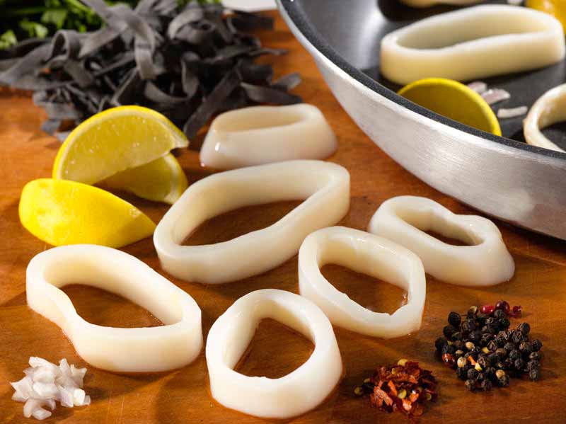 Octopus & Squid